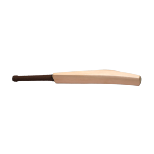 bat